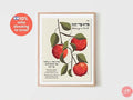 Blessing on Fruits HaEtz Hebrew Bracha Brachot Apple Art Jewish gift, minimal art, wall decor, Jewish art food Israel art Poster Wall art