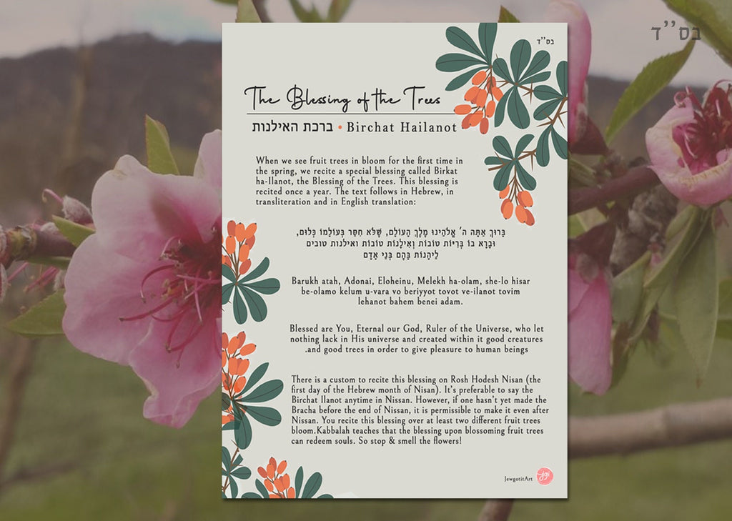 Blessing of Fruit Trees Printable Sheet Download Brachat HaIlanot | Explanation, English & Hebrew blessings | Passover Pesach Jewish Holiday