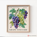 Grape Vineyard Wall Art Jewish Israel Art Print Am Yisrael Chai Jewish Kitchen Decor Israel Living Room Fruit Art Fruit Market Judaica Gift