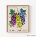 Grape Vineyard Wall Art Jewish Art Israel Print Am Yisrael Chai Jewish Kitchen Decor Israel Living Room Fruit Art Fruit Market Judaica Gift
