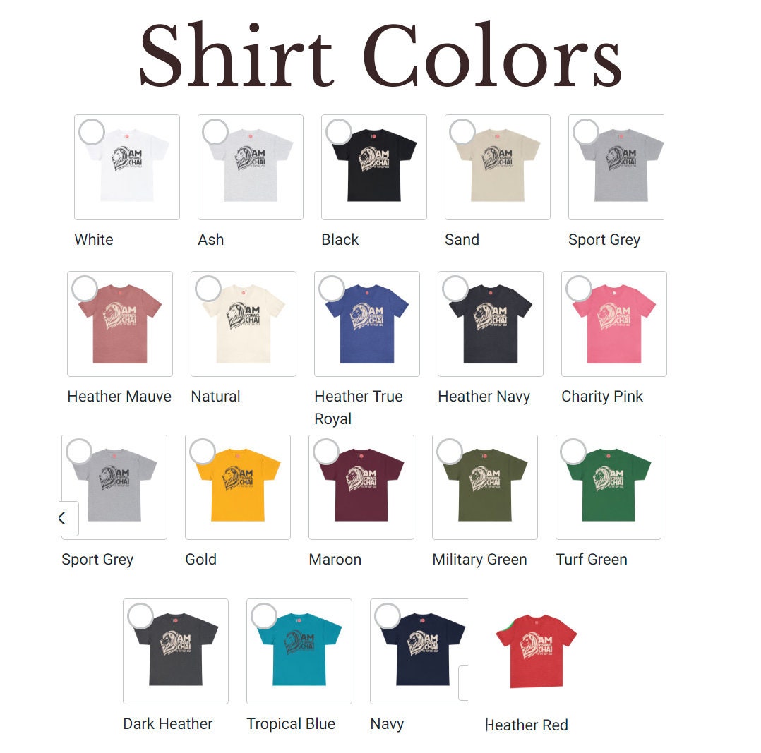 Am Yisrael Chai Judah Unisex Cotton TShirt Lion of Zion shirt Graphic Vintage Shirt, israel art, hanukkah jewish gift Israelite, Israeli Jew