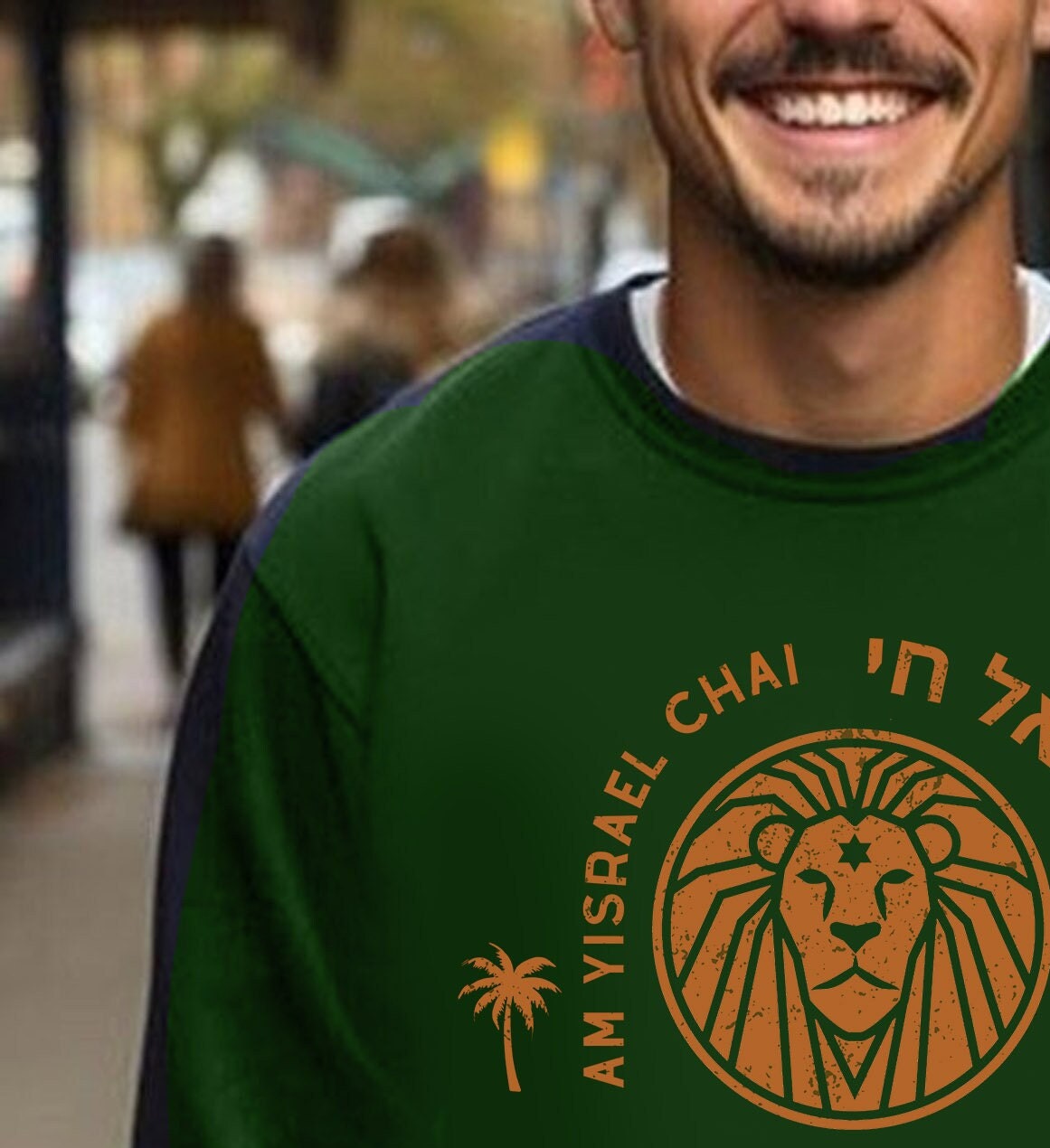 Zioness Am Yisrael Chai Sweater Lion Zion Sweatshirt graphic israel art jewish gift Israeli Pride Proud Jew I have no other Country Israeli