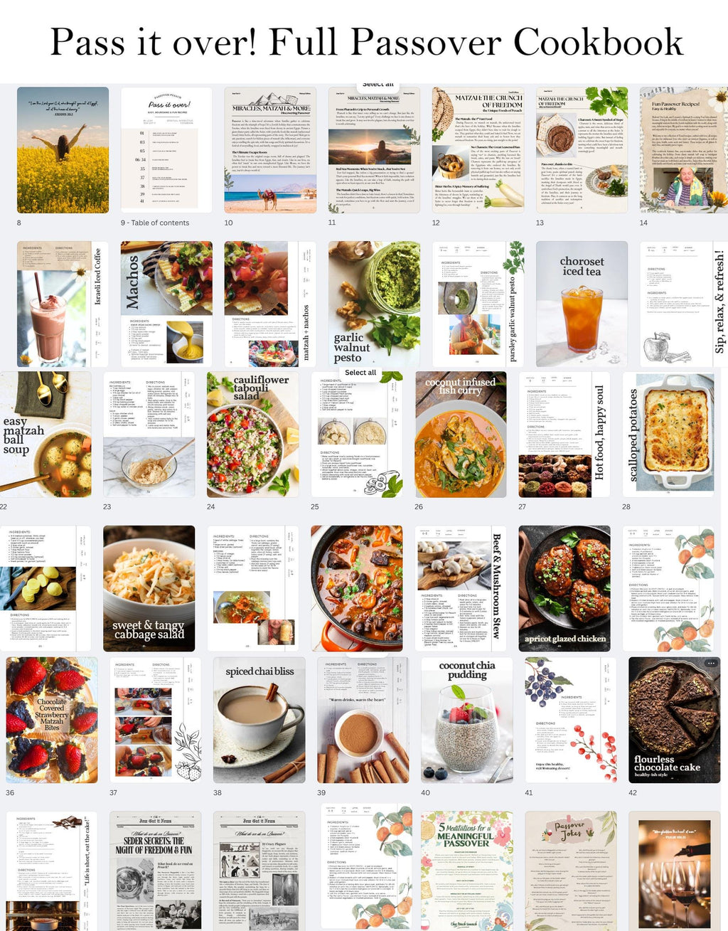 Passover Cookbook Digital Download Kosher for Pesach Recipes Jewish Holiday Blessings Passover Printable Food Jokes Kosher Recipes Pesach