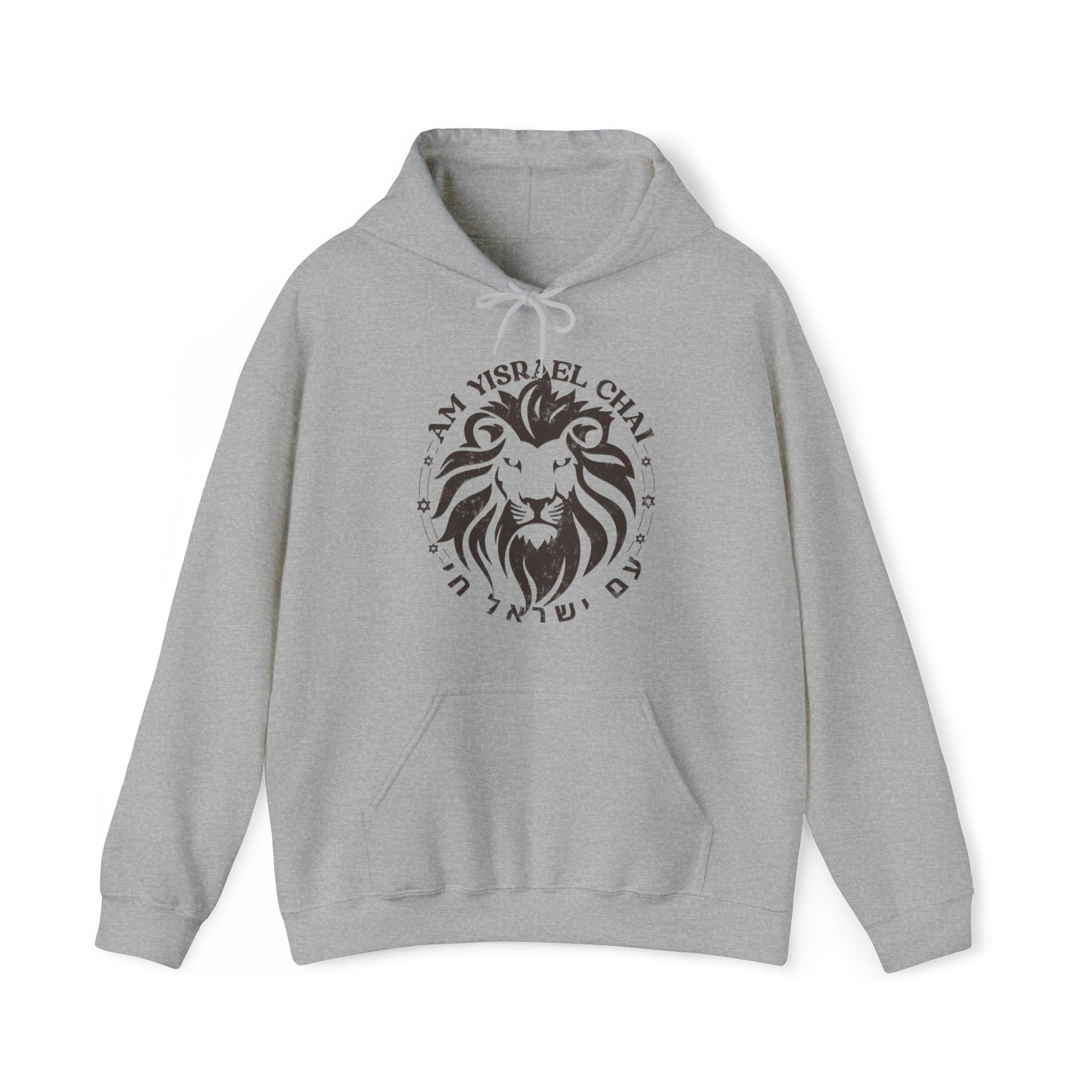 Hoodie Am Yisrael Chai, Lion Zion, Unisex Heavy Blend Hooded Sweatshirt, graphic, israel, art, jewish, jewish gift Israelite, Israeli Pride