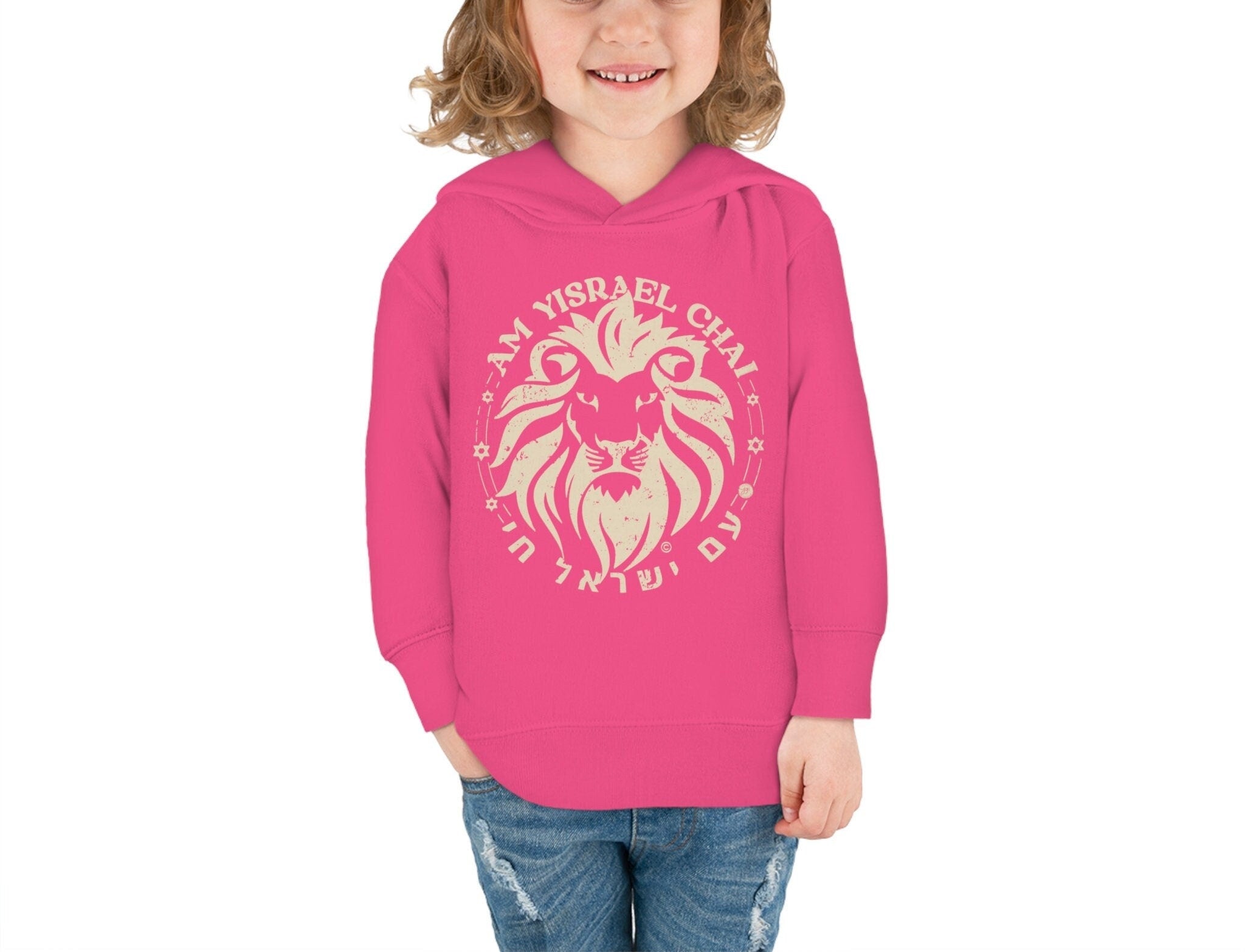 Hoodie Am Yisrael Chai Lion Zion Toddler Pullover Fleece kid clothes, toddler clothes, israel hoodie, israelite, jewish gifts, hanukkah gift
