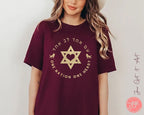 Israel, One Nation One Heart Tshirt Unisex, woman man jewish gift lion judah Graphic, israeli tshirt israelite, Hanukkah gifts, am Yisrael