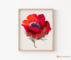 Kalanit Flower Wall Art Israel National Flower Jewish Gift Print Am Yisrael Chai Red poppy Red flower Jewish Gift Israel Art Am Yisrael Chai