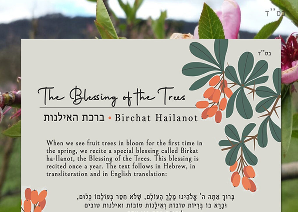 Blessing of Fruit Trees Printable Sheet Download Brachat HaIlanot | Explanation, English & Hebrew blessings | Passover Pesach Jewish Holiday