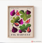 Figs Wall Art Jewish Israel Art Print Am Yisrael Chai Poster Jewish Kitchen Decor Israel Living Room Art Fruit Art Fruit Market Judaica Gift