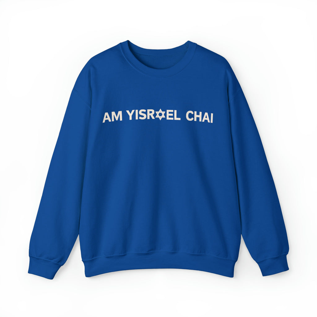 Am Yisrael Chai Jewish Star of David Sweater Unisex Crewneck Sweatshirt Israel sweater Jewish gift Hanukkah gift proud jew israelite Stand