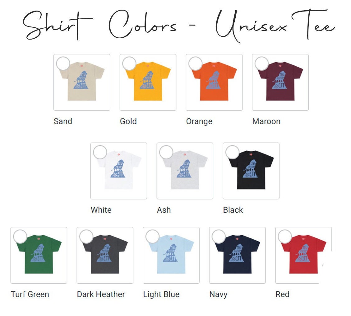 Am Yisrael Chai Lion of Zion Shirt, Tshirt, graphic tee, vintage shirt, israel, art, jewish, jewish gift Israelite, Israeli Pride, Proud Jew